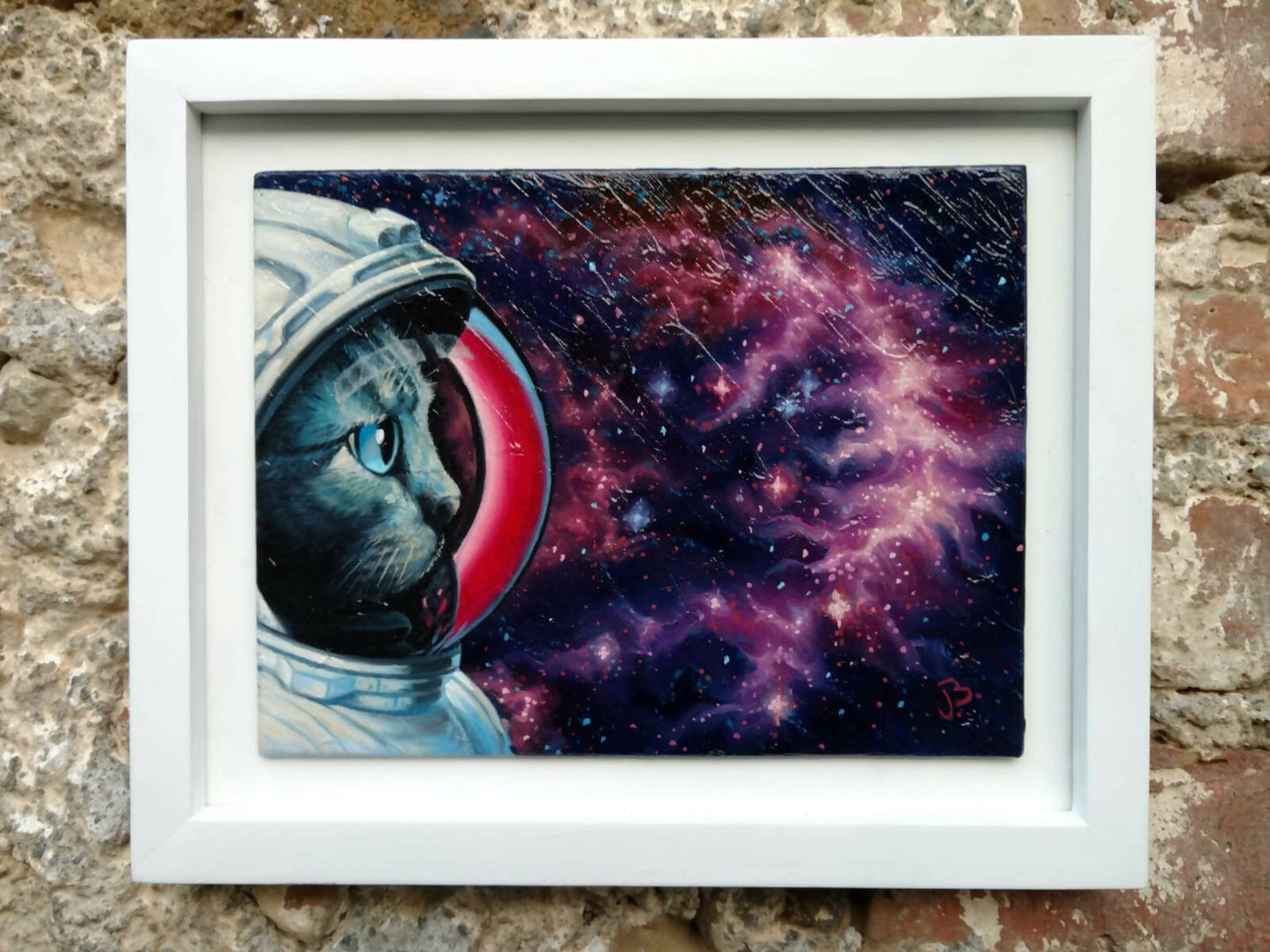 Gato viendo el espacio