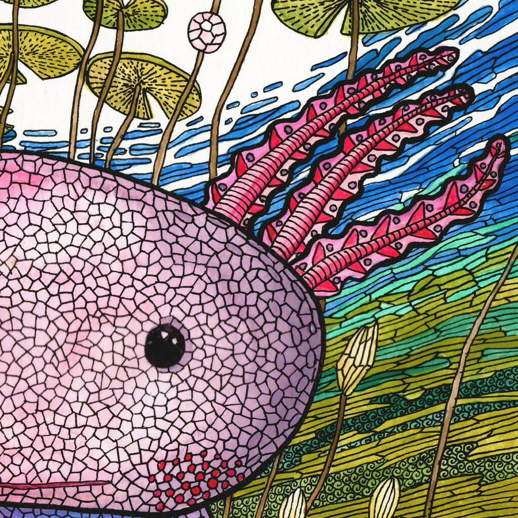 REY DEL ESTANQUE (2023)