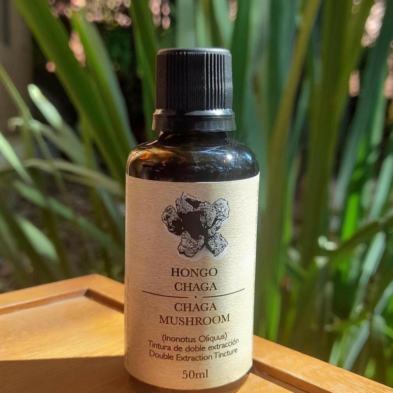 Tincturas de Hongos de doble extracción