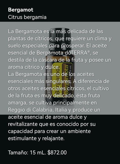 Imagen de WhatsApp 2024-08-27 a las 15.15.21_965eb22f