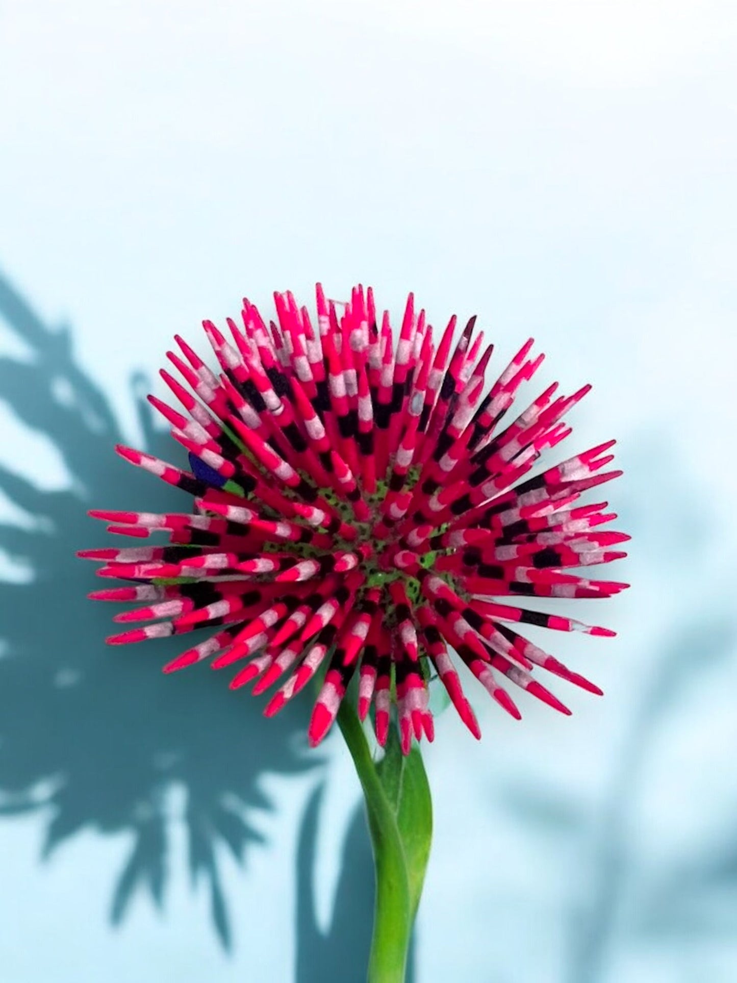 Figura Artesanal de Puercoespín Verde con Púas Rosas y Negras