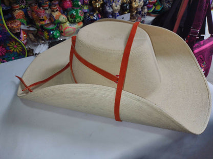 Imagen de WhatsApp 2024-08-29 a las 13.51.22_3e09acf0