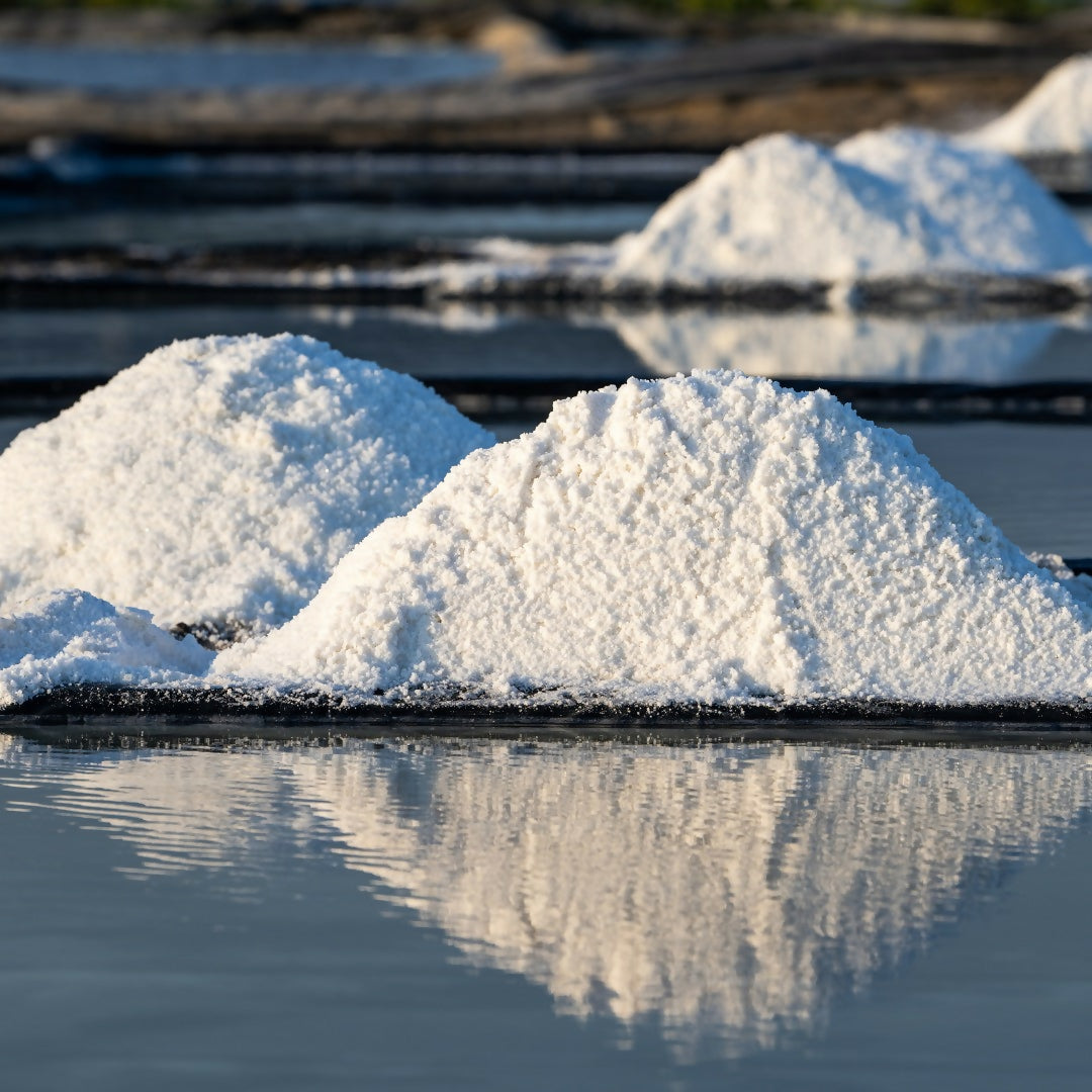 454340055_917162550427544_1084183456611588370_n