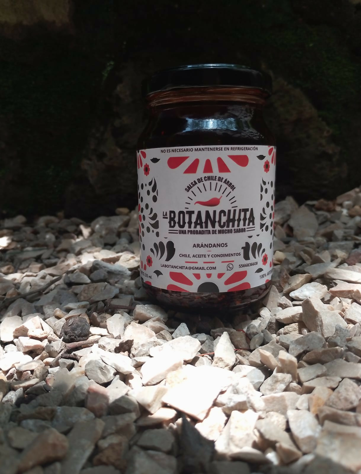 Salsa macha de arándano 235 ml