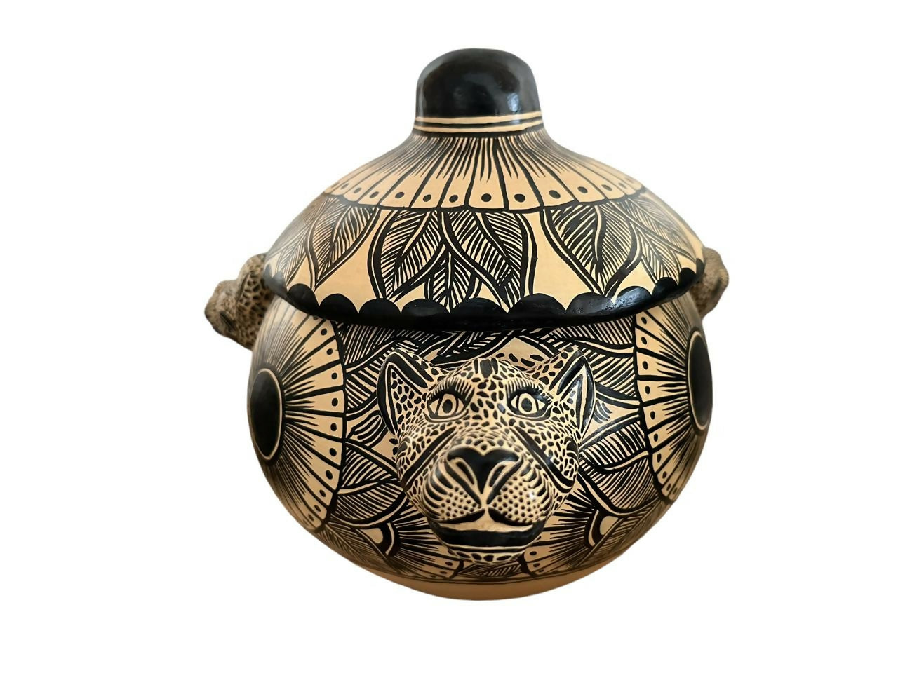 Imagen de WhatsApp 2024-10-14 a las 17.24.42_1e0cc0be